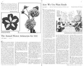 Better Homes & Gardens February 1931 Magazine Article: Page 26