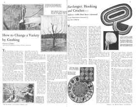 Better Homes & Gardens February 1931 Magazine Article: Page 40