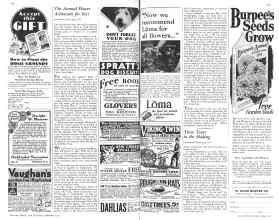 Better Homes & Gardens February 1931 Magazine Article: Page 114