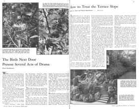 Better Homes & Gardens March 1931 Magazine Article: Page 32
