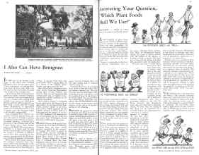 Better Homes & Gardens March 1931 Magazine Article: Page 38