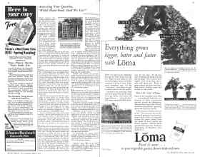 Better Homes & Gardens March 1931 Magazine Article: Page 74