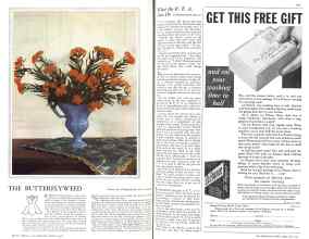 Better Homes & Gardens March 1931 Magazine Article: Page 102