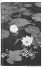 Better Homes & Gardens April 1931 Magazine Article: ALONG THE GARDEN PATH