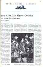 Better Homes & Gardens April 1931 Magazine Article: You Also Can Grow Orchids as I Do in New York State