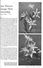 Better Homes & Gardens April 1931 Magazine Article: How Flowers Change Their Citizenship