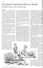 Better Homes & Gardens April 1931 Magazine Article: The Junior Gardeners Plan an Attack