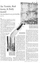 Better Homes & Gardens April 1931 Magazine Article: The Termite, Real Enemy, Is Easily Routed