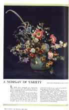 Better Homes & Gardens April 1931 Magazine Article: A NOSEGAY OF VARIETY