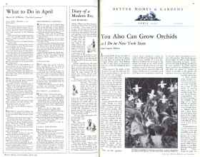 Better Homes & Gardens April 1931 Magazine Article: Page 10