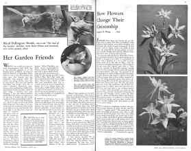 Better Homes & Gardens April 1931 Magazine Article: Page 14