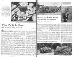 Better Homes & Gardens April 1931 Magazine Article: Page 42