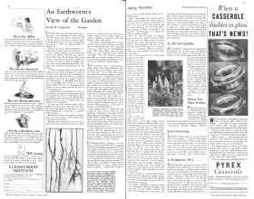 Better Homes & Gardens April 1931 Magazine Article: Page 54