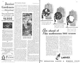 Better Homes & Gardens April 1931 Magazine Article: Page 68