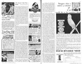 Better Homes & Gardens April 1931 Magazine Article: Page 130