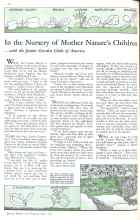Better Homes & Gardens May 1931 Magazine Article: In the Nursery of Mother Nature's Children with the Junior Garden Clubs of America