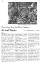 Better Homes & Gardens May 1931 Magazine Article: Flowering Shrubs That Enhance the Rock Garden