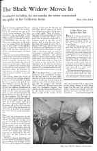 Better Homes & Gardens May 1931 Magazine Article: The Black Widow Moves In