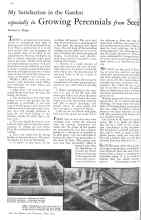 Better Homes & Gardens May 1931 Magazine Article: My Satisfaction in the Garden especially in Growing Perennials from Seed