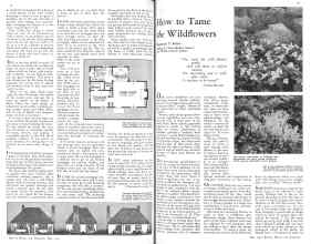 Better Homes & Gardens May 1931 Magazine Article: Page 14