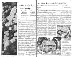 Better Homes & Gardens May 1931 Magazine Article: Page 24