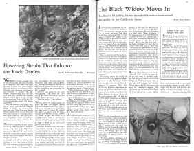 Better Homes & Gardens May 1931 Magazine Article: Page 36
