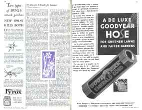 Better Homes & Gardens May 1931 Magazine Article: Page 68