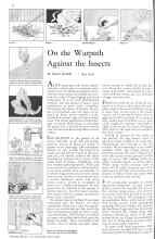 Better Homes & Gardens June 1931 Magazine Article: On the Warpath Against the Insects