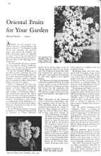 Better Homes & Gardens June 1931 Magazine Article: Oriental Fruits for Your Garden
