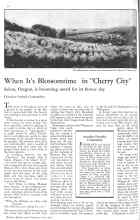 Better Homes & Gardens June 1931 Magazine Article: When It's Blossomtime in