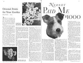 Better Homes & Gardens June 1931 Magazine Article: Page 40
