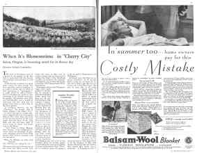 Better Homes & Gardens June 1931 Magazine Article: Page 56