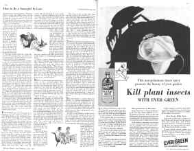 Better Homes & Gardens June 1931 Magazine Article: Page 60