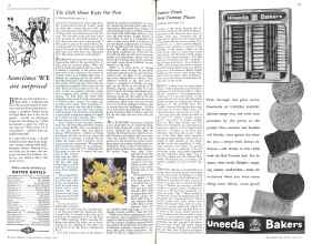 Better Homes & Gardens June 1931 Magazine Article: Page 88