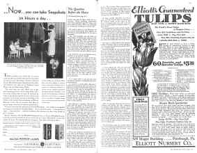Better Homes & Gardens June 1931 Magazine Article: Page 102