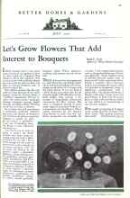 Better Homes & Gardens July 1931 Magazine Article: Let's Grow Flowers That Add Interest to Bouquets