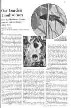 Better Homes & Gardens July 1931 Magazine Article: Our Garden Troubadours