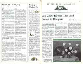 Better Homes & Gardens July 1931 Magazine Article: Page 10