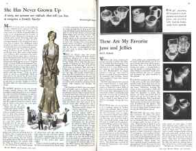Archive of Better Homes & Gardens July 1931 Magazine: Page 17