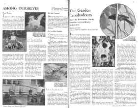 Better Homes & Gardens July 1931 Magazine Article: Page 32