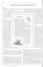 Better Homes & Gardens August 1931 Magazine Article: ALONG THE GARDEN PATH