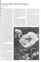 Better Homes & Gardens August 1931 Magazine Article: Painting With Oriental Poppies