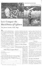 Better Homes & Gardens August 1931 Magazine Article: Let's Conquer the Black Prince of Ugliness