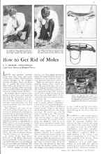 Better Homes & Gardens August 1931 Magazine Article: How to Get Rid of Moles