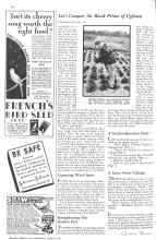 Better Homes & Gardens August 1931 Magazine Article: Article
