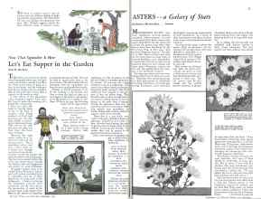 Better Homes & Gardens September 1931 Magazine Article: Page 30