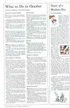 Better Homes & Gardens October 1931 Magazine Article: Diary of a Modern Eve