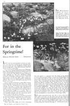 Better Homes & Gardens October 1931 Magazine Article: For in the Springtime!