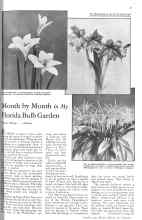 Better Homes & Gardens October 1931 Magazine Article: Month by Month in My Florida Bulb Garden