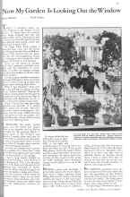 Better Homes & Gardens October 1931 Magazine Article: Now My Garden Is Looking Out the Window